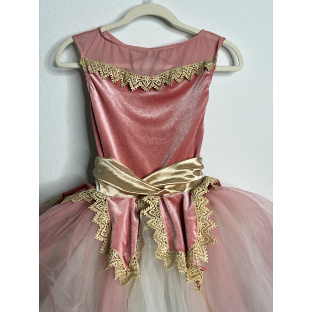 Weissman Size Kids Small Girls Child Gold And Pink Ballet Dance Costume Tulle - Picture 8 of 16